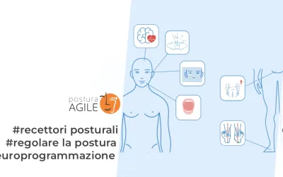 Di che informazioni ha bisogno il cervello per regolare la postura?