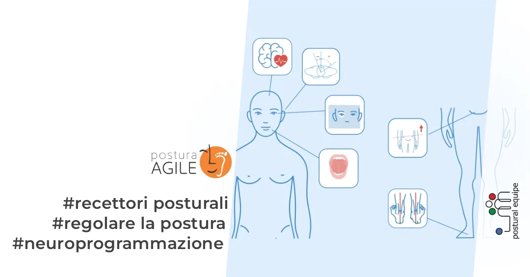 Di che informazioni ha bisogno il cervello per regolare la postura?