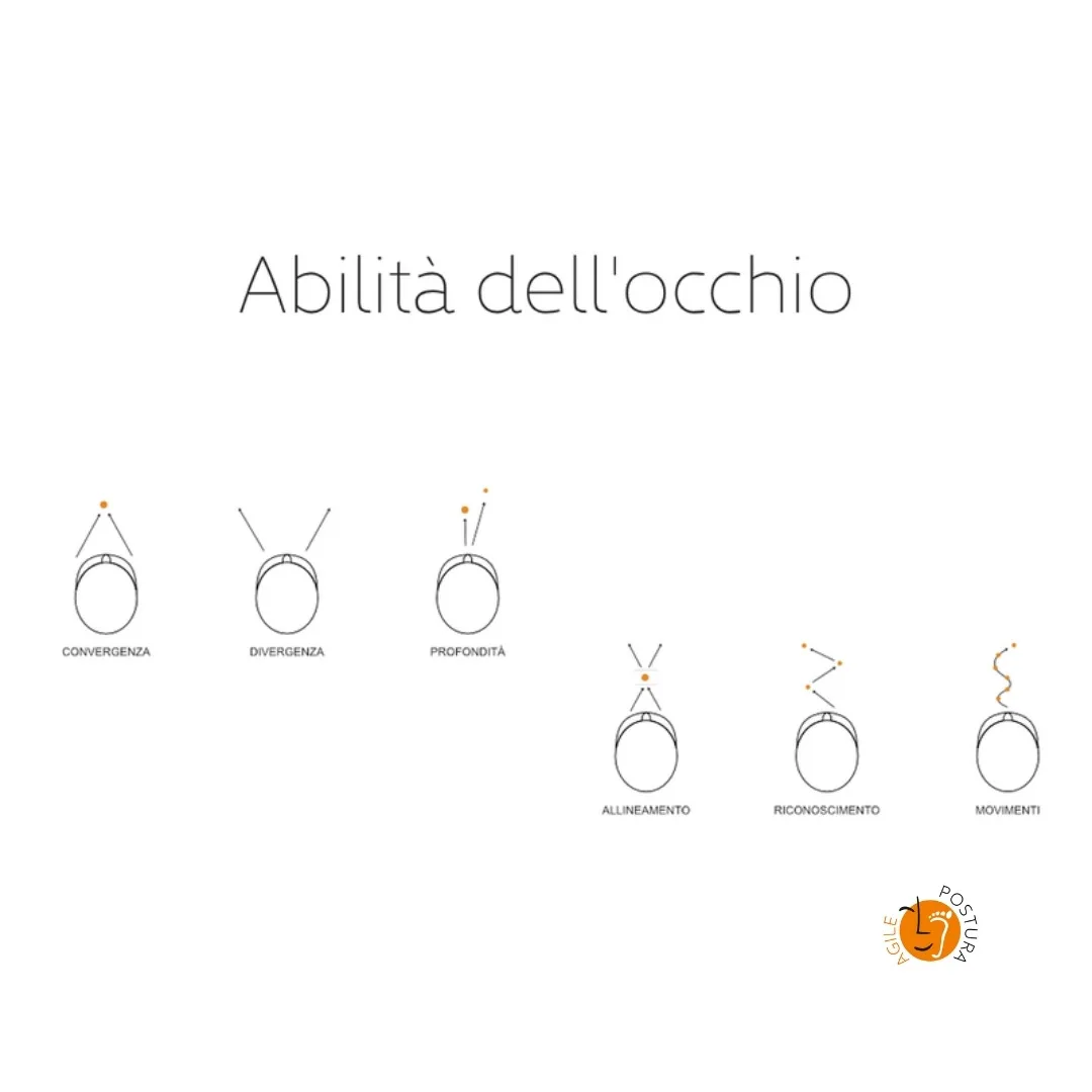 Le abilità dell'occhio: convergenza, divergenza, profondità, allineamento, riconoscimento e movimenti